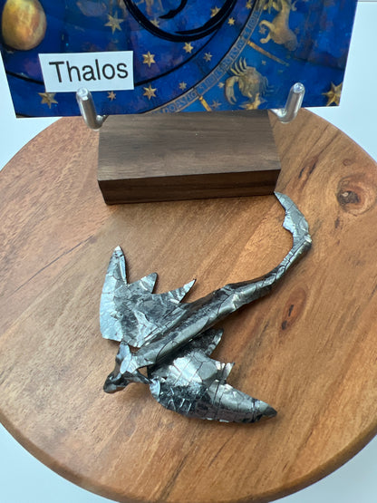 Thalos - Zodiac Dragons - Choose Your Dragon, Choose Your Energy