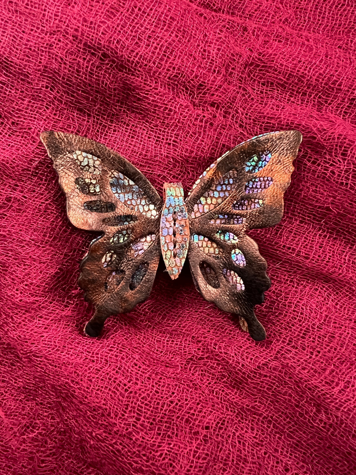 Aethera Vaeli Butterfly | Entry No. 2051