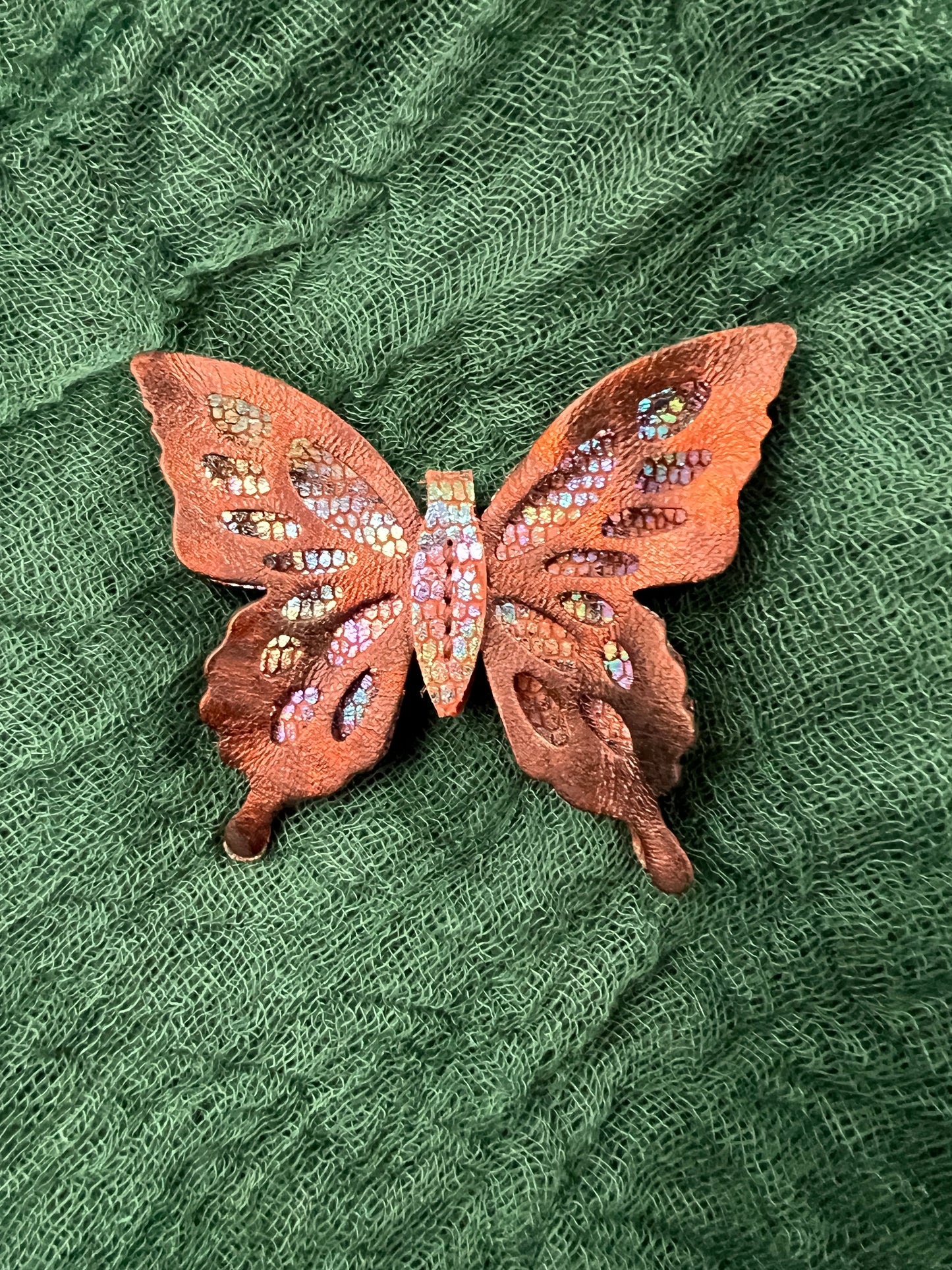 Aethera Vaeli Butterfly | Entry No. 2051